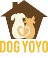 Dog yoyo Global Initiatives