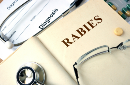 Rabies in dogs is increasing in Haiti, CDC issues travel notice